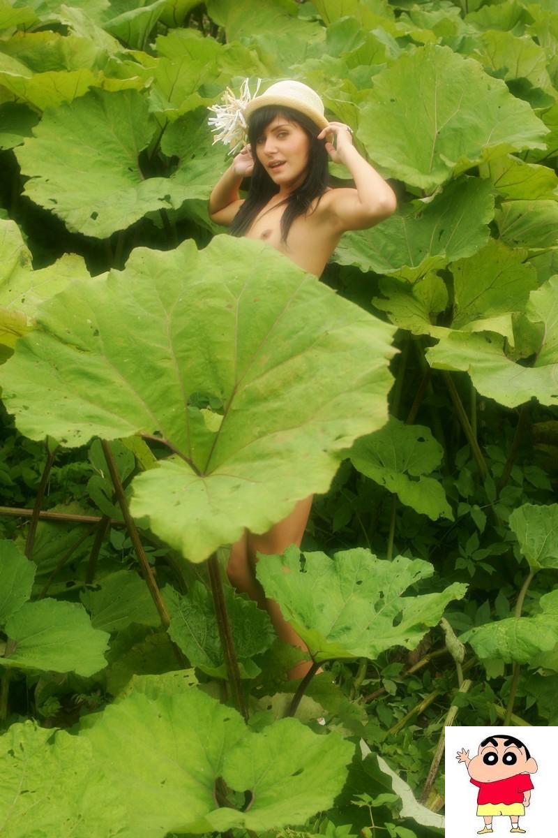 Anna - Lappola (98P)