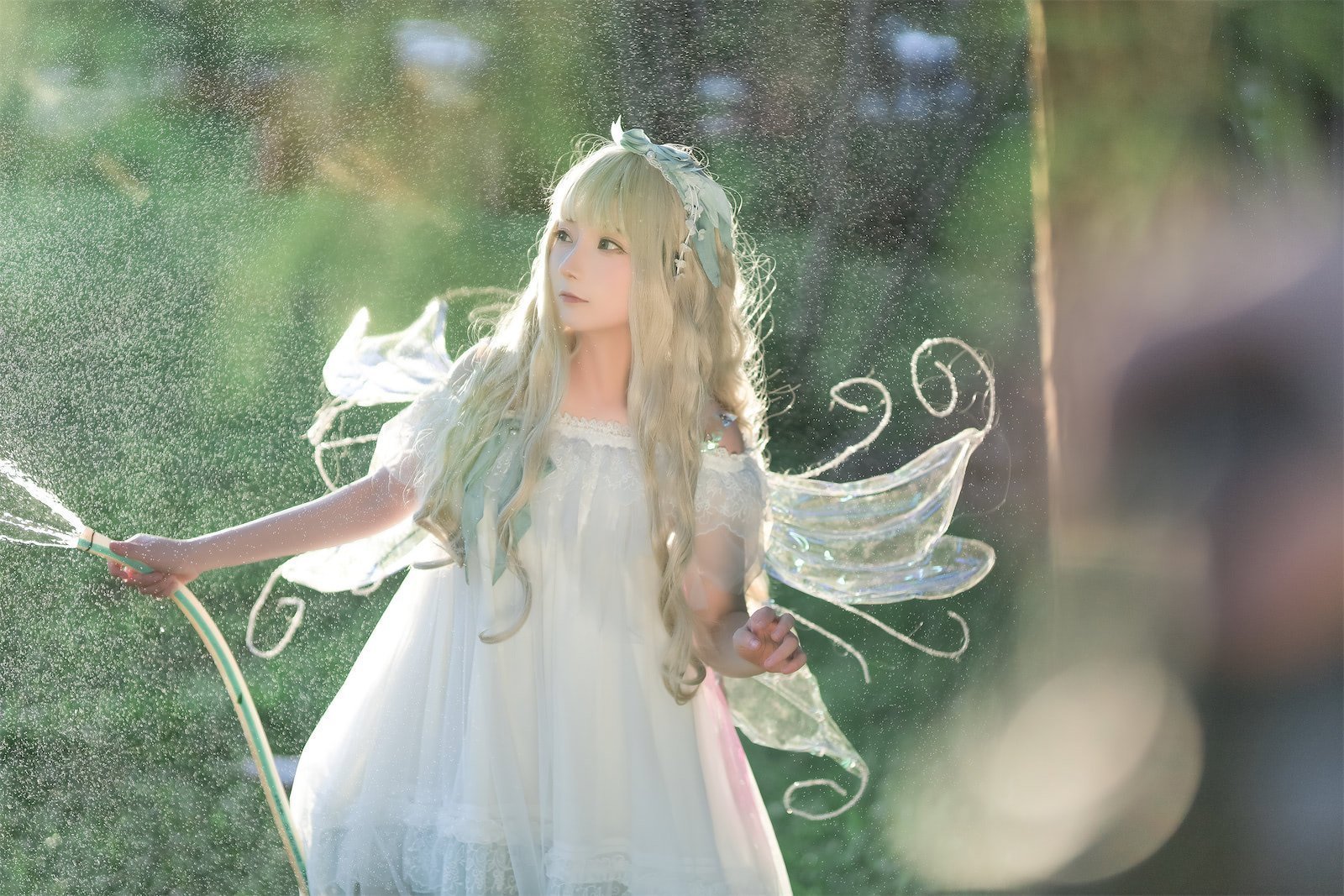 是三不是世w 林中精灵