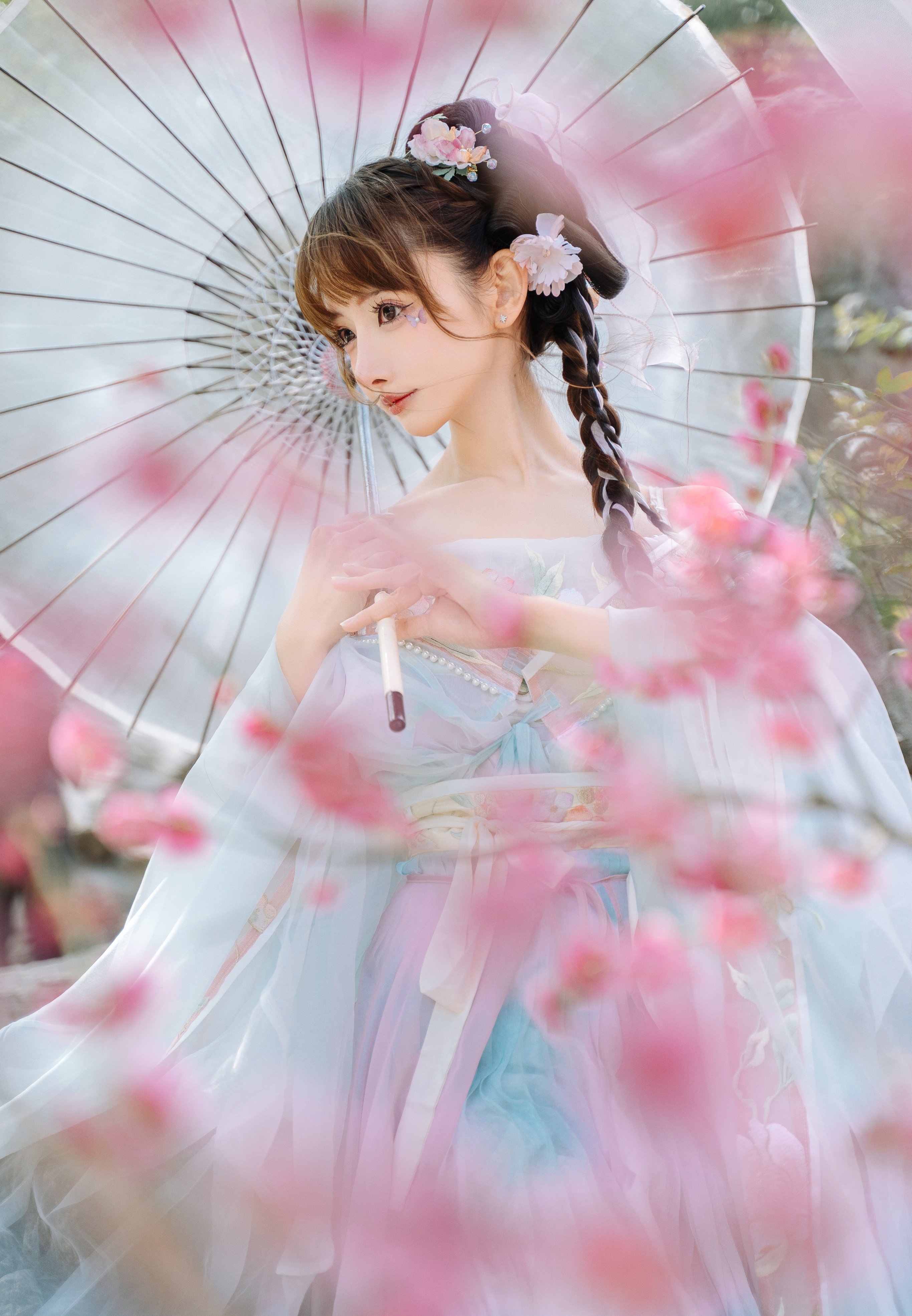 紫氯氯  三月梅花