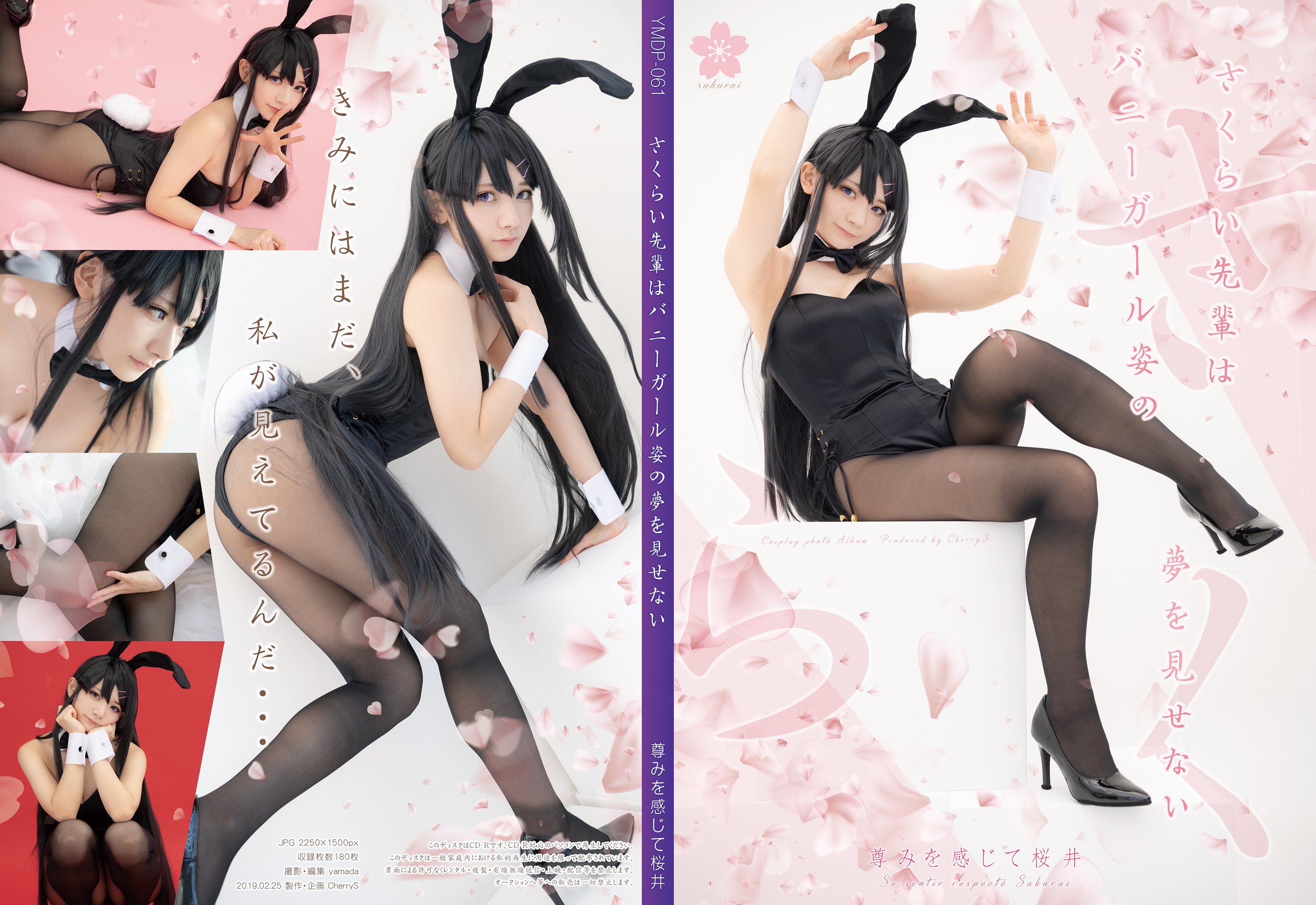 Lapin Angelia  樱岛麻衣