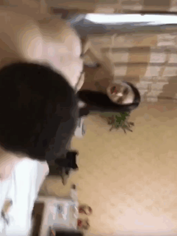 人妖雌堕喜多川小野饥渴难耐，拿出自己刚才得到的战利品幻龙玩了起来 (5)